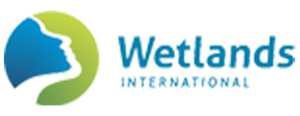 wetlands